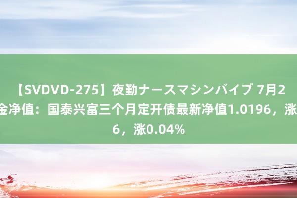 【SVDVD-275】夜勤ナースマシンバイブ 7月26日基金净值：国泰兴富三个月定开债最新净值1.0196，涨0.04%