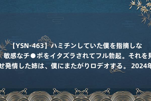 【YSN-463】ハミチンしていた僕を指摘しながらも含み笑いを浮かべ、敏感なチ●ポをイタズラされてフル勃起。それを見て目をトロ～ンとさせ発情した姉は、僕にまたがりロデオする。 2024年8月15日河南商丘市农家具中心批发商场价钱行情