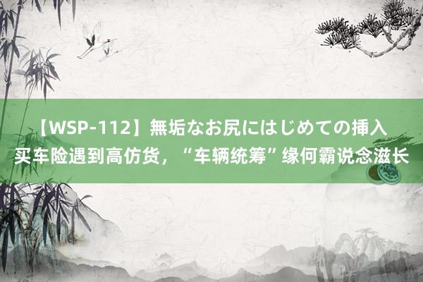 【WSP-112】無垢なお尻にはじめての挿入 买车险遇到高仿货，“车辆统筹”缘何霸说念滋长