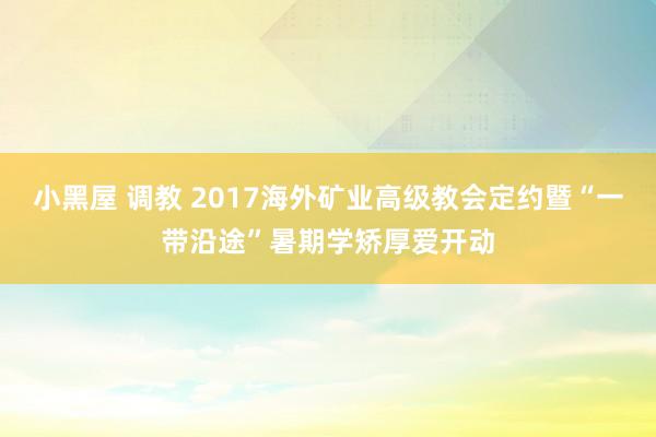 小黑屋 调教 2017海外矿业高级教会定约暨“一带沿途”暑期学矫厚爱开动