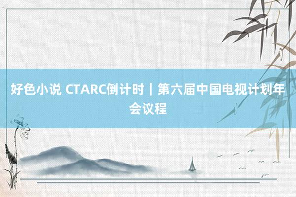 好色小说 CTARC倒计时｜第六届中国电视计划年会议程